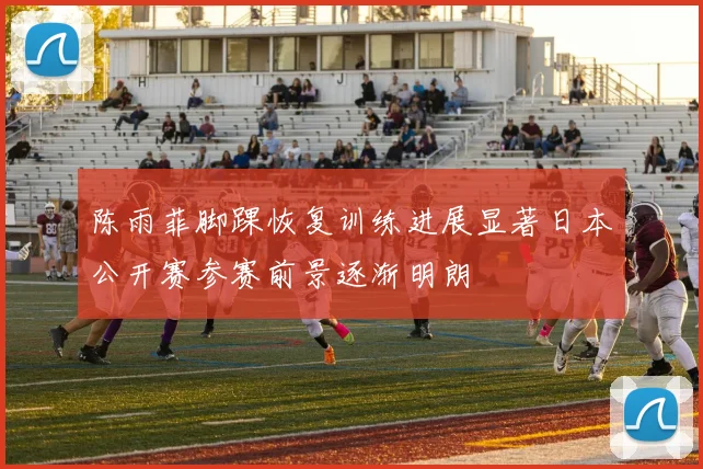陈雨菲脚踝恢复训练进展显著日本公开赛参赛前景逐渐明朗